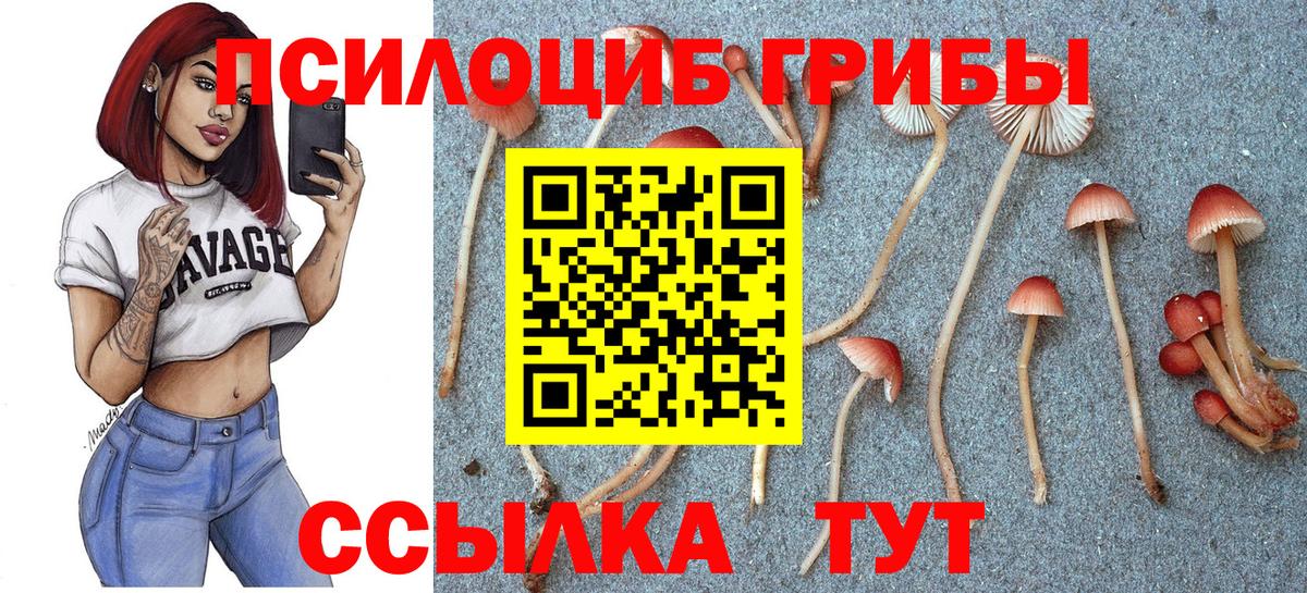 Нарьян-Мар  Псилоцибиновые грибы Psilocybine cubensis  где продают   Вход с VPN  Галлюциногенные грибы GOLDEN TEACHER 